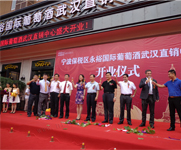湖北武漢背景幕布 湖北武漢背景幕布